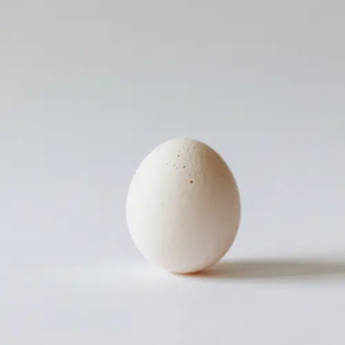 雞蛋