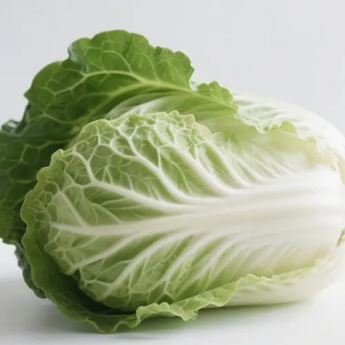 白菜