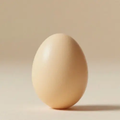 雞蛋