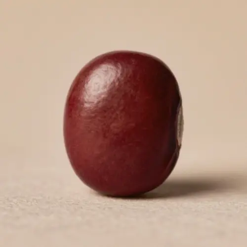 紅豆