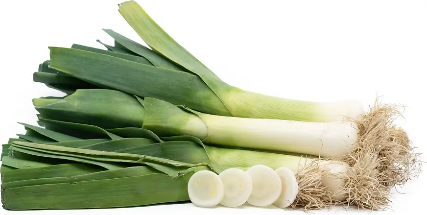 Leek