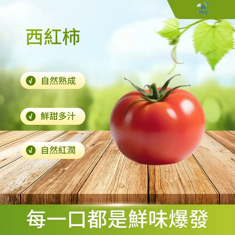 西紅柿
