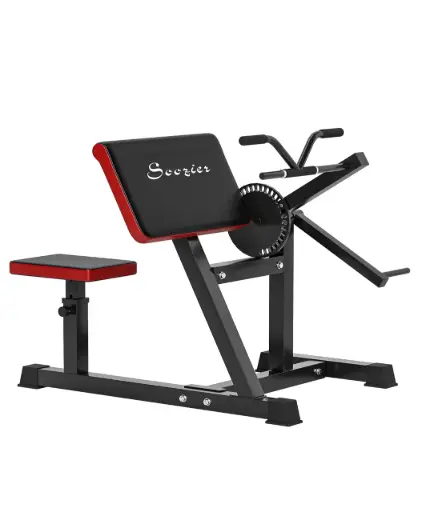 二頭肌斜板彎舉椅