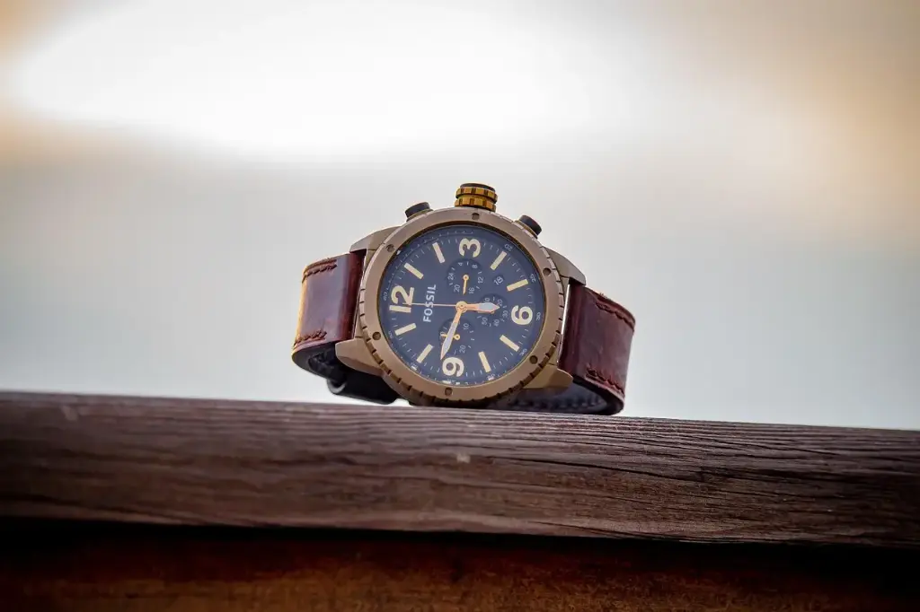 Minimalist Wristwatch