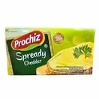 PROCHIZ SPREADY CHEDDAR 160gr 