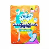 CHARM BODY FIT EXTRA MAXI NON WING (23cm 20pads)