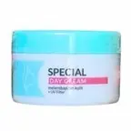 VIVA - SPECIAL DAY CREAM (22gr)
