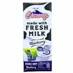 CIMORY FRESH MILK BLUEBERRY (250ml)
