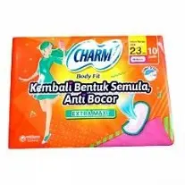 CHARM BODY FIT EXTRA MAXI NON WING (23cm 10pads)