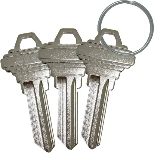 SC1 規格空白鑰匙替換裝（家用及專業用未切割空白鑰匙，3 片裝）