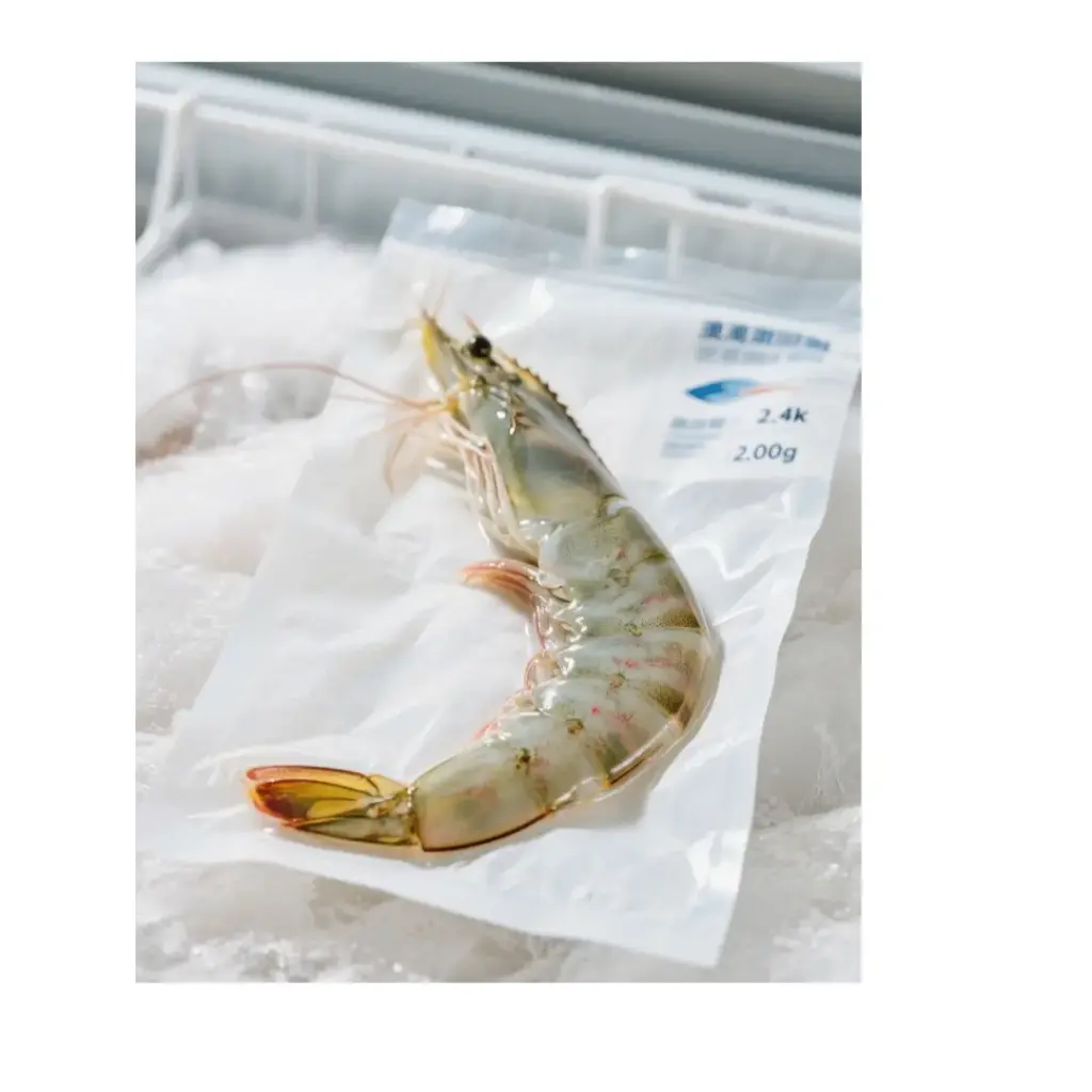 澳洲海蝦